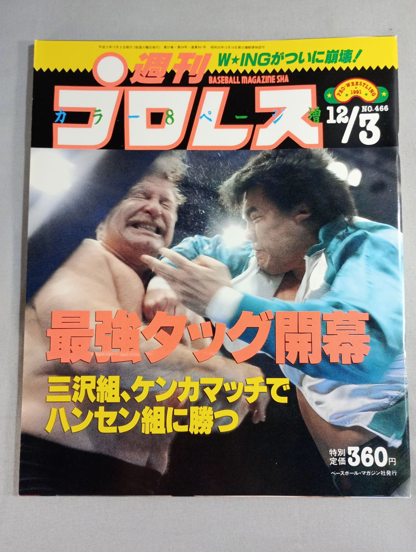 Weekly Pro Wrestling 466