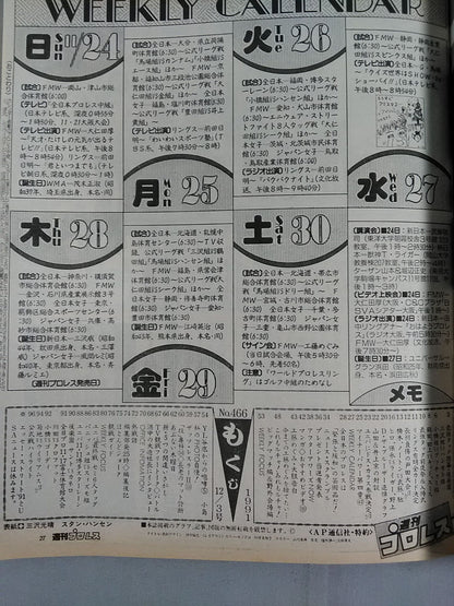 Weekly Pro Wrestling 466