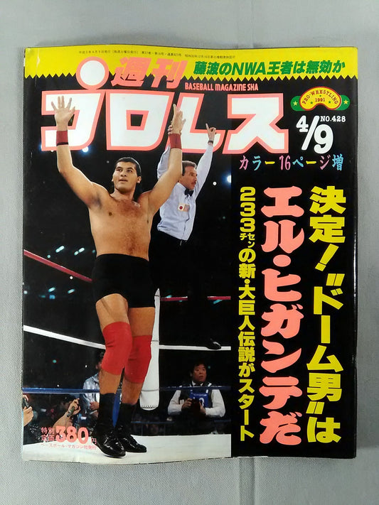 Weekly Pro Wrestling  428