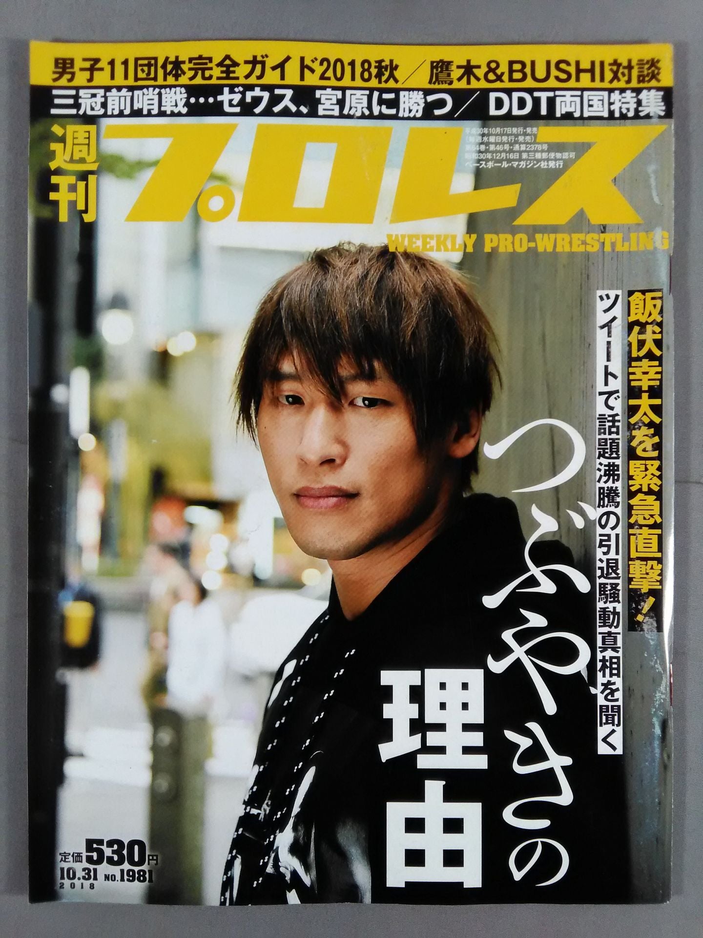 週刊プロレス1981