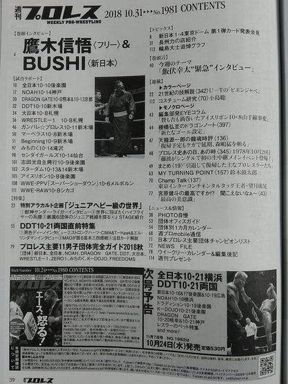 週刊プロレス1981