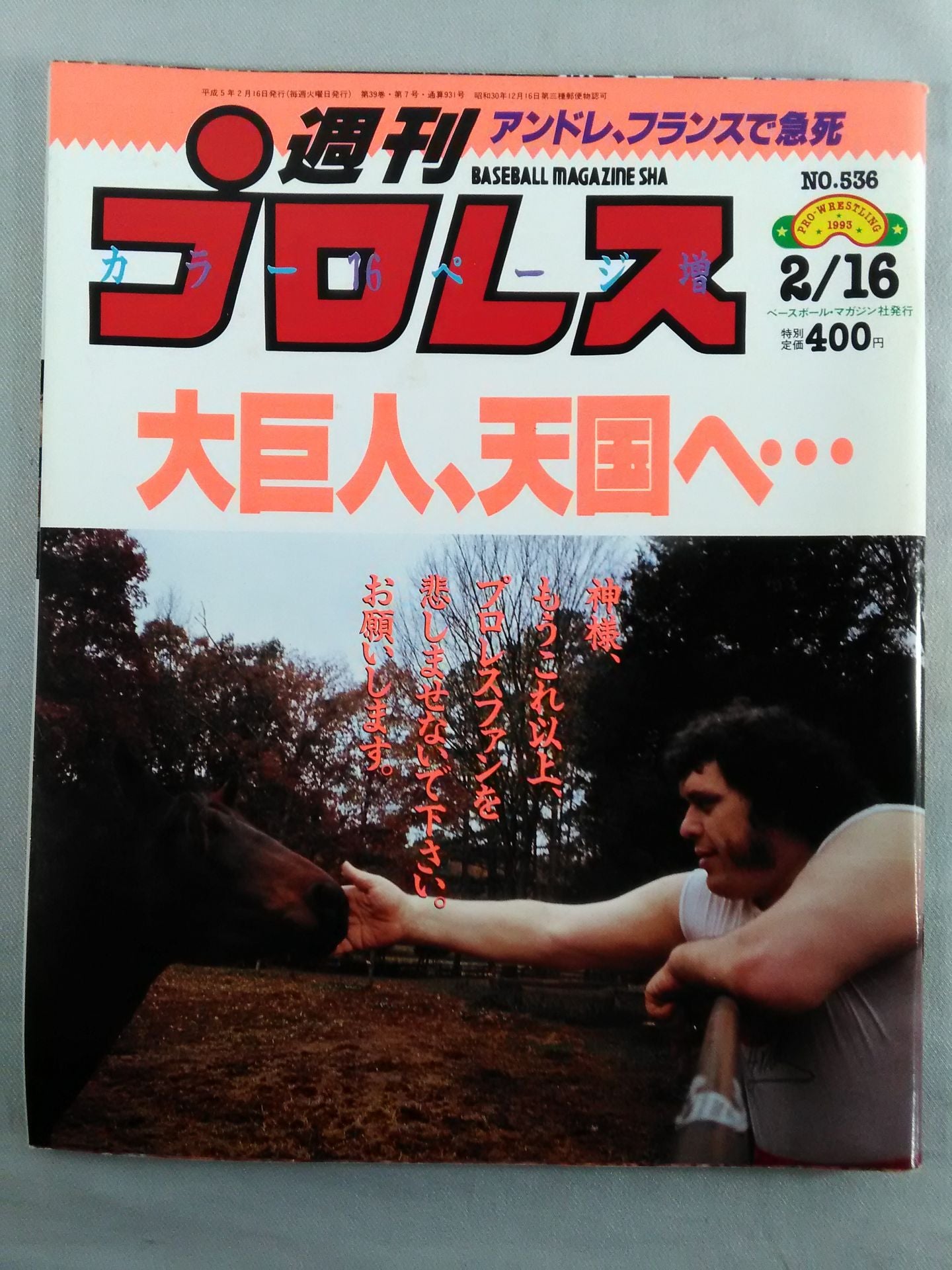 Weekly Pro Wrestling  536