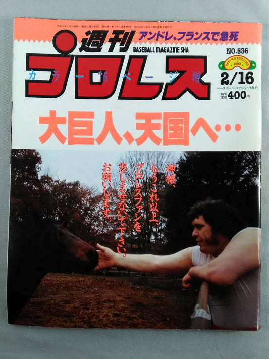 Weekly Pro Wrestling  536