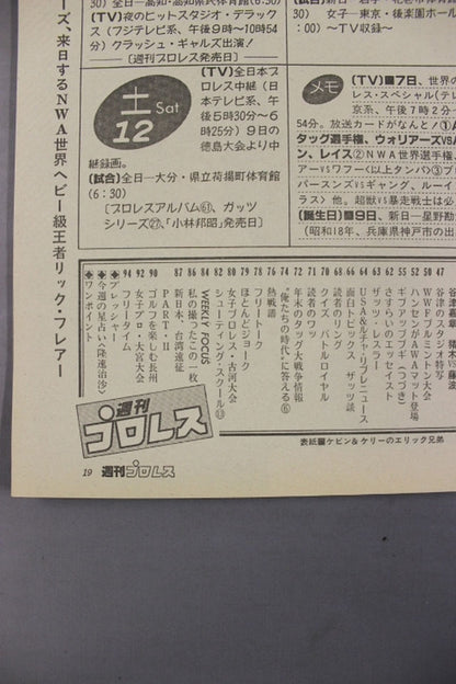 Weekly Pro Wrestling  114