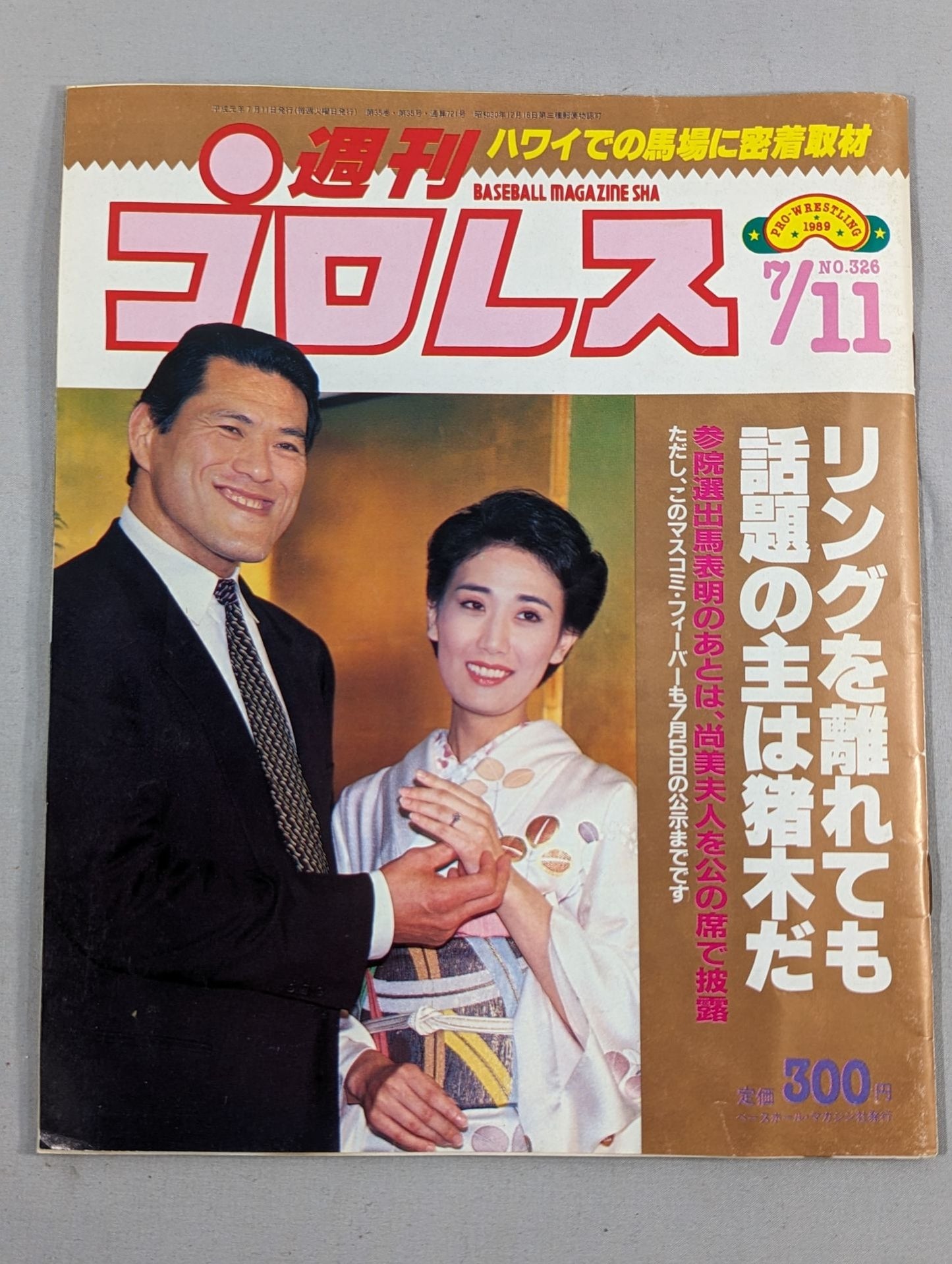 Weekly Pro Wrestling 326