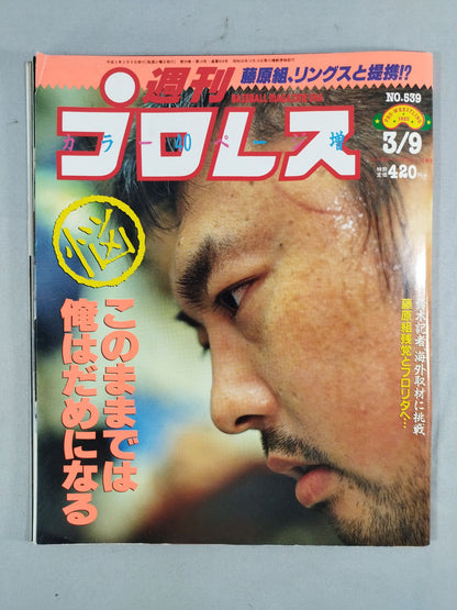 Weekly Pro Wrestling  539