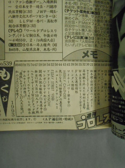 Weekly Pro Wrestling  539