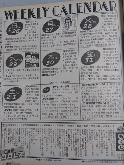 Weekly Pro Wrestling 129