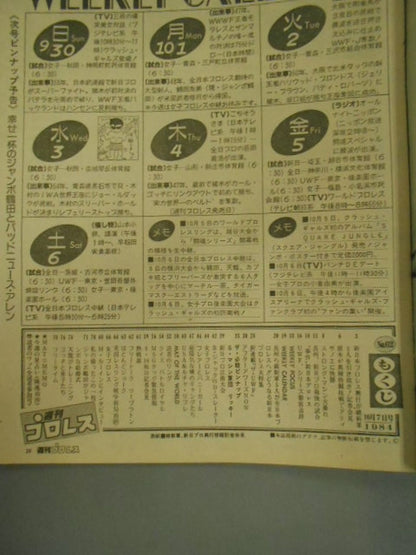 Weekly Pro Wrestling 62