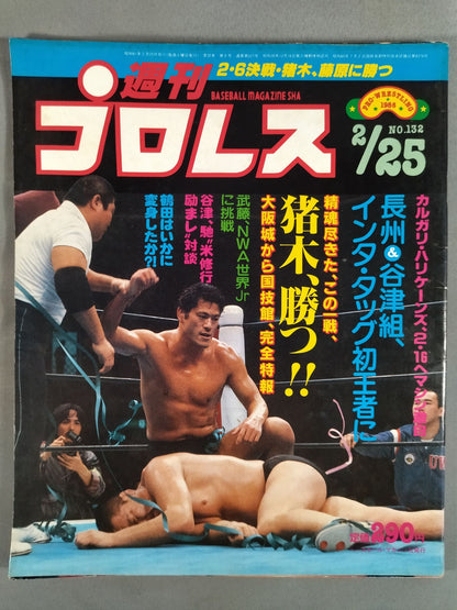Weekly Pro Wrestling  132
