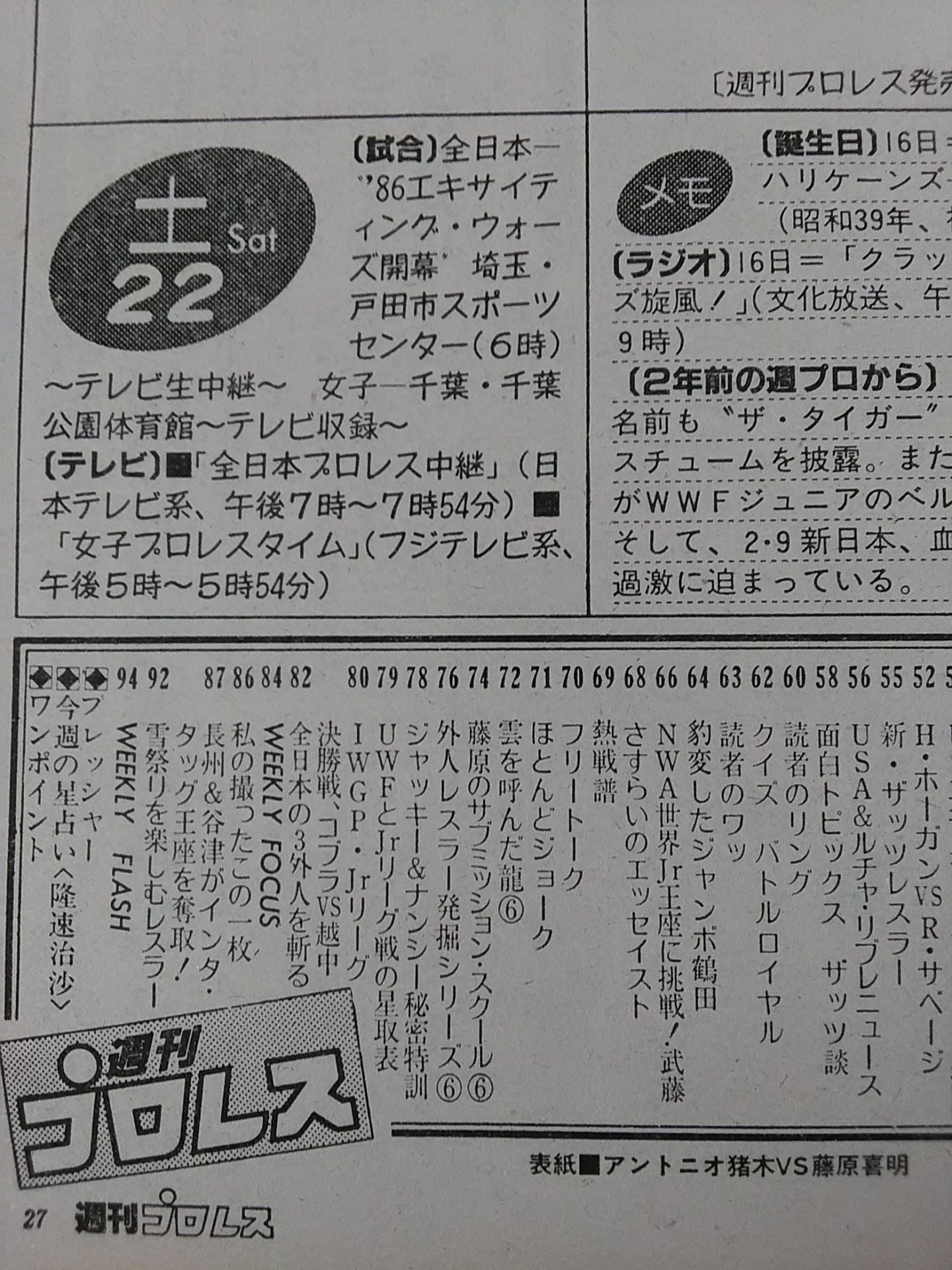 Weekly Pro Wrestling  132