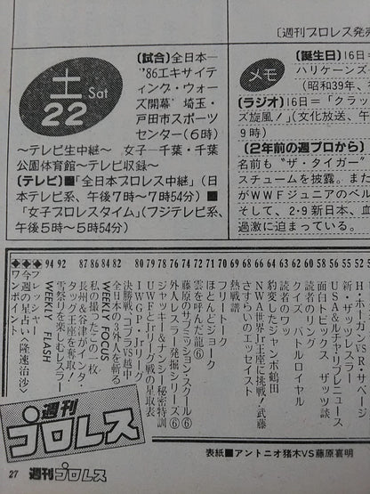 Weekly Pro Wrestling  132
