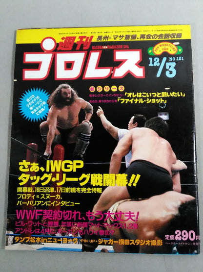 Weekly Pro Wrestling 121