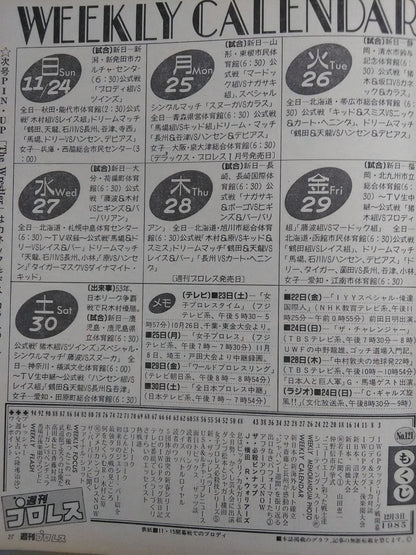 Weekly Pro Wrestling 121