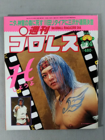 Weekly Pro Wrestling 935