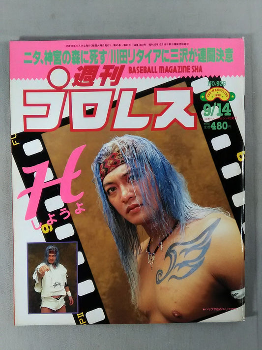 Weekly Pro Wrestling 935