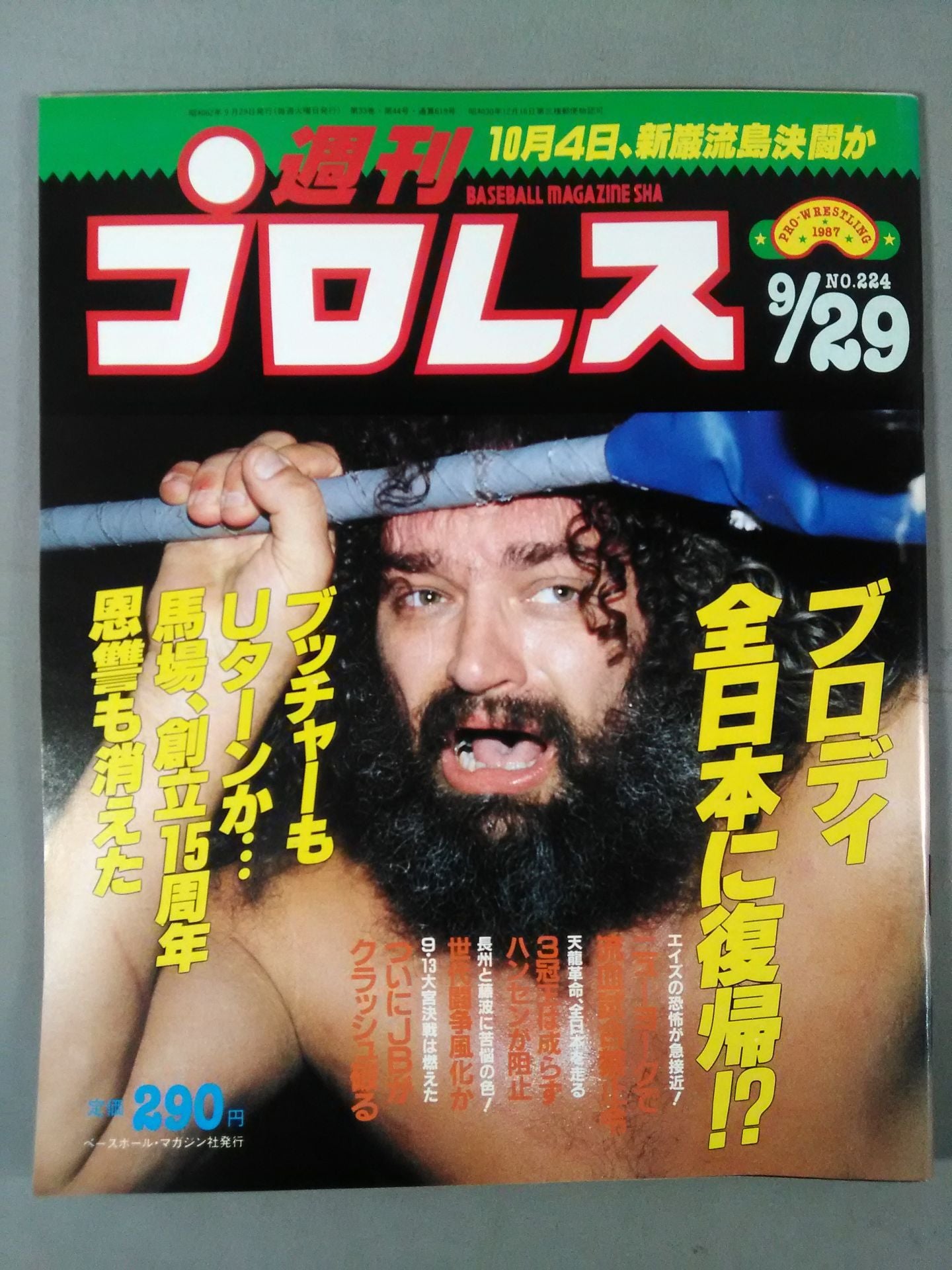 Weekly Pro Wrestling 224