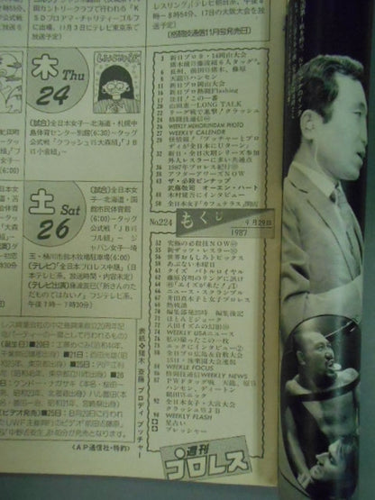 Weekly Pro Wrestling 224