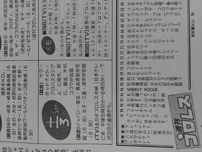 週刊プロレス104