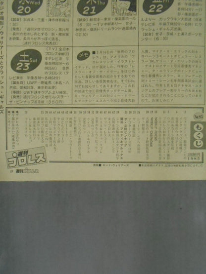 Weekly Pro Wrestling 85