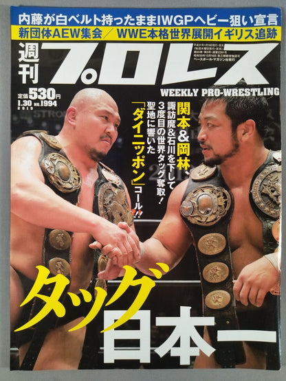 Weekly Pro Wrestling  1994