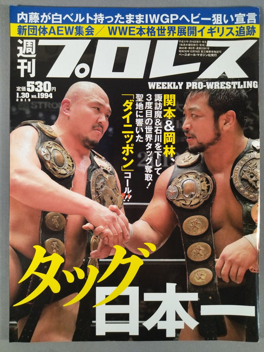 Weekly Pro Wrestling  1994