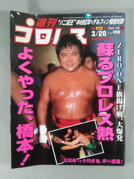 Weekly Pro Wrestling 1022