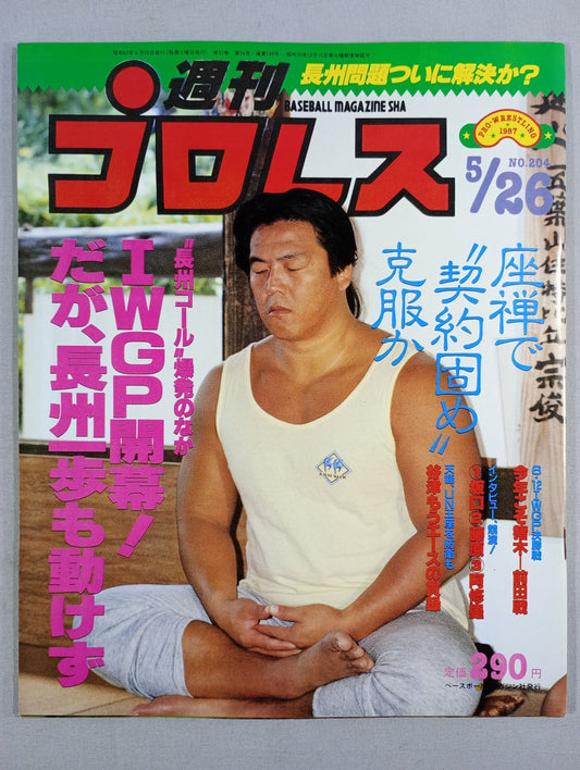 週刊プロレス204