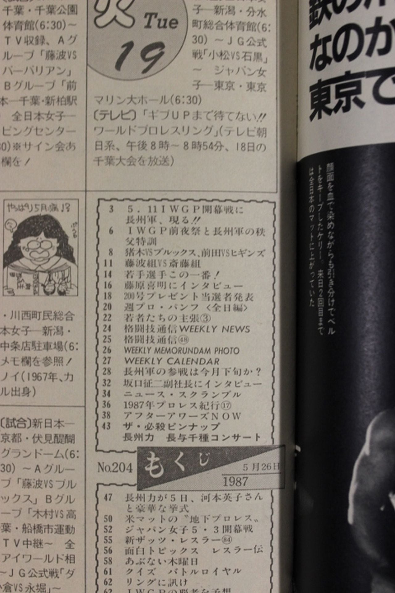 Weekly Pro Wrestling 204