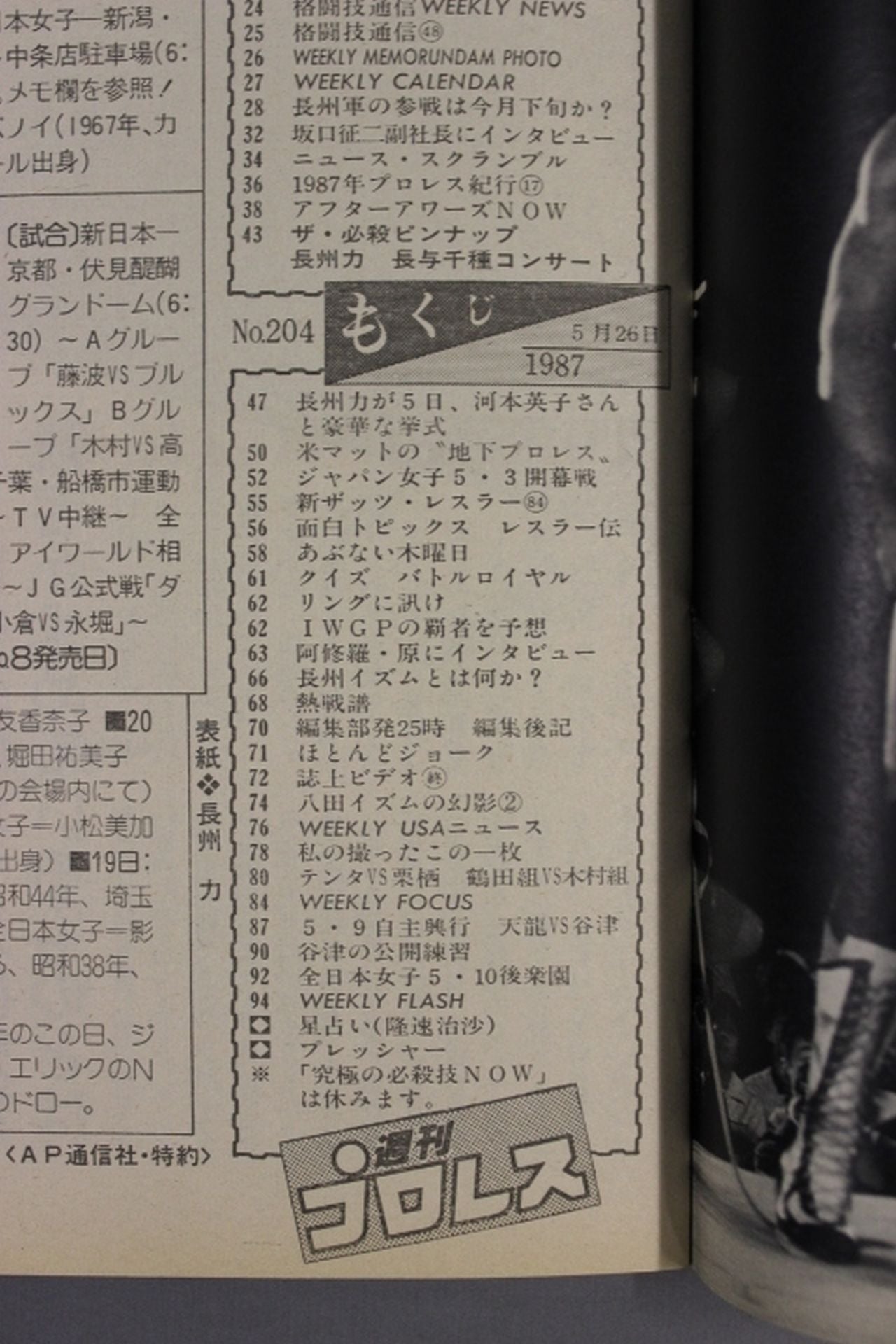 Weekly Pro Wrestling 204