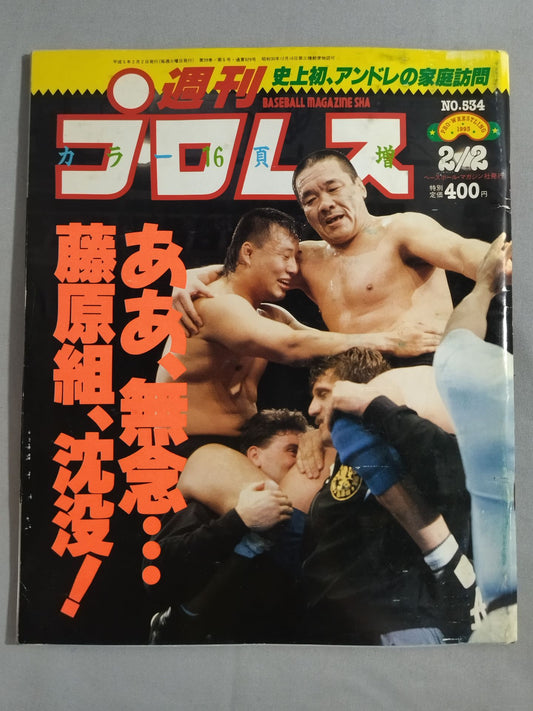 週刊プロレス534
