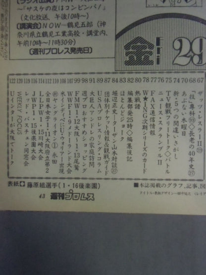 Weekly Pro Wrestling 534