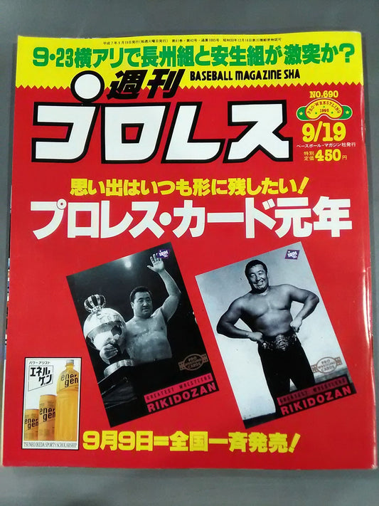 Weekly Pro Wrestling 690