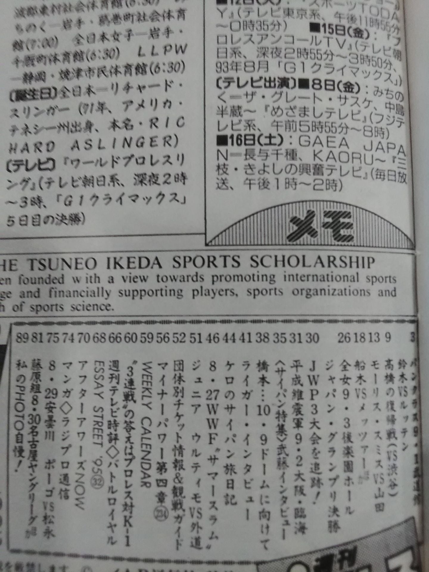 Weekly Pro Wrestling 690