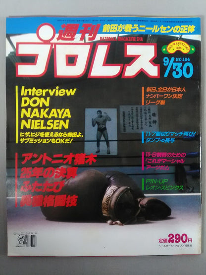 週刊プロレス164