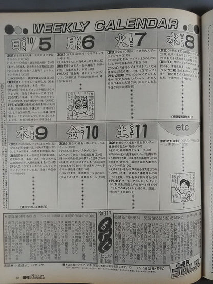 週刊プロレス817
