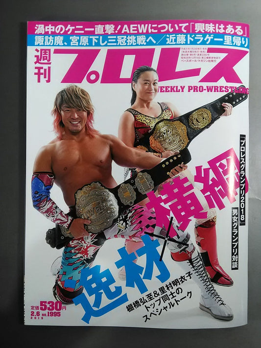 Weekly Pro Wrestling 1995