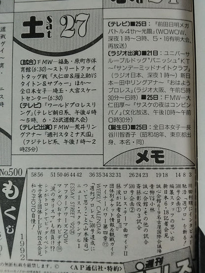 Weekly Pro Wrestling 500