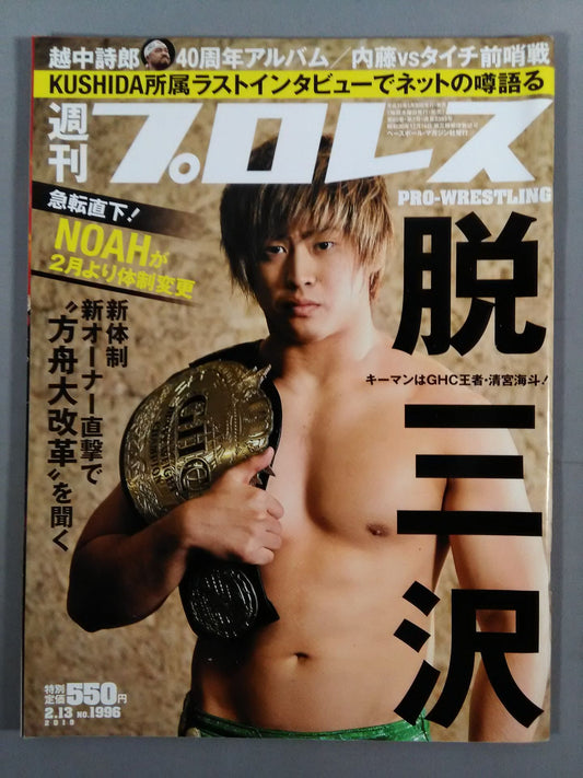 Weekly Pro Wrestling 1996