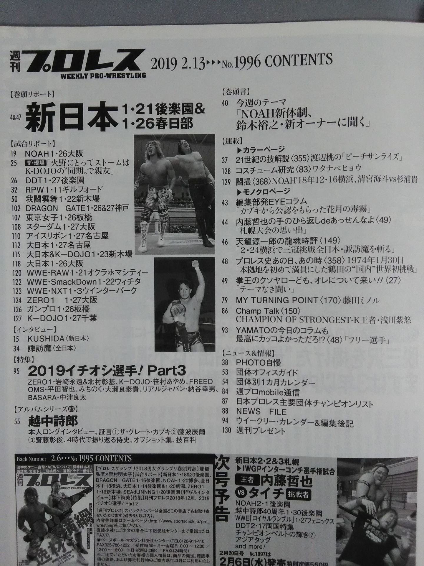Weekly Pro Wrestling 1996
