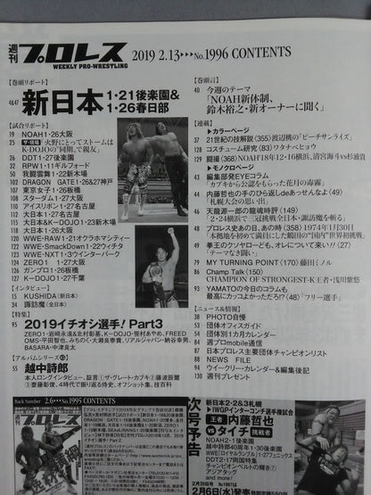 Weekly Pro Wrestling 1996
