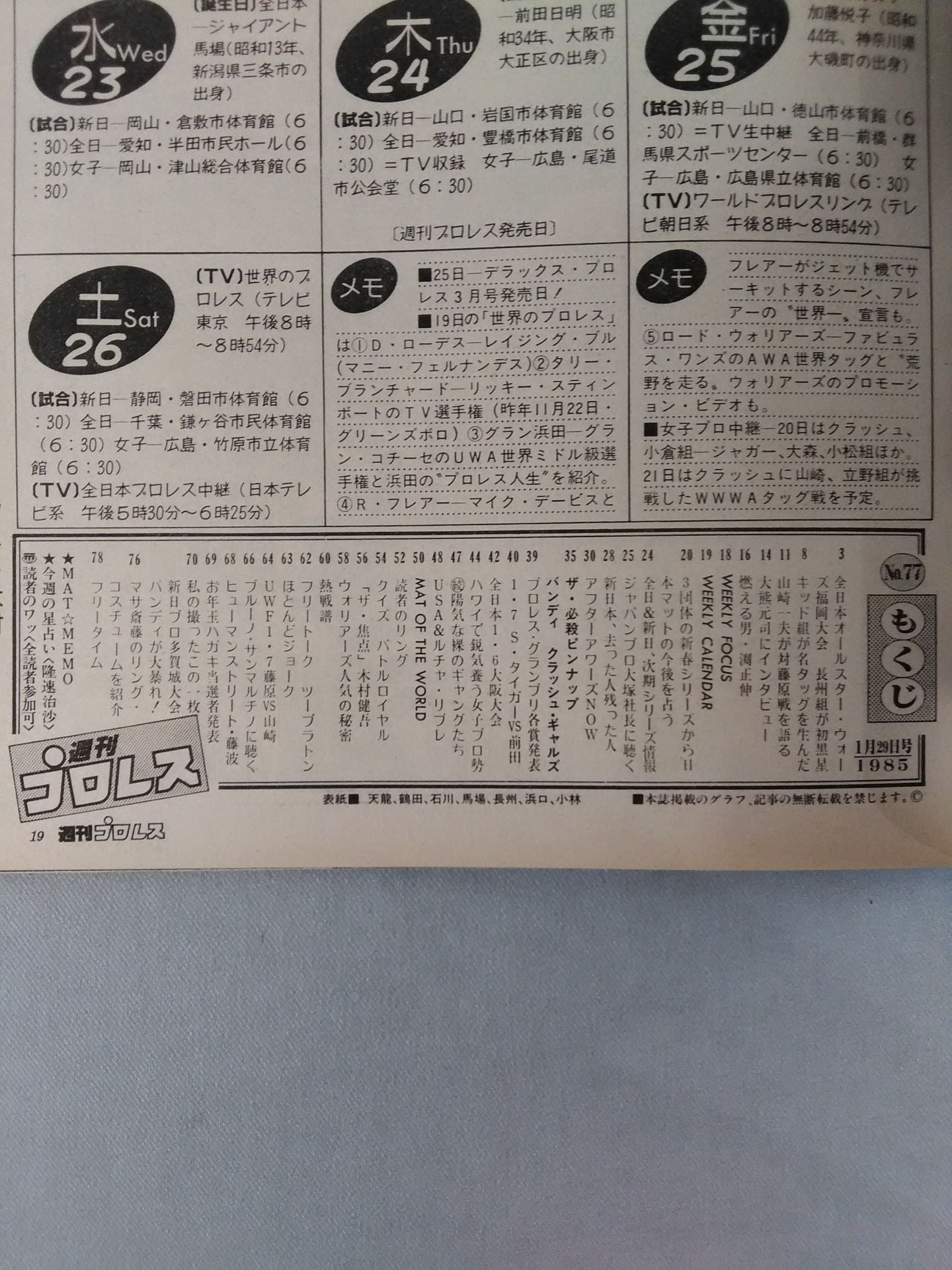 Weekly Pro Wrestling 77