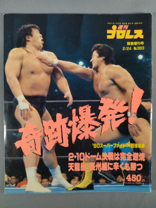 Weekly Pro Wrestling 363