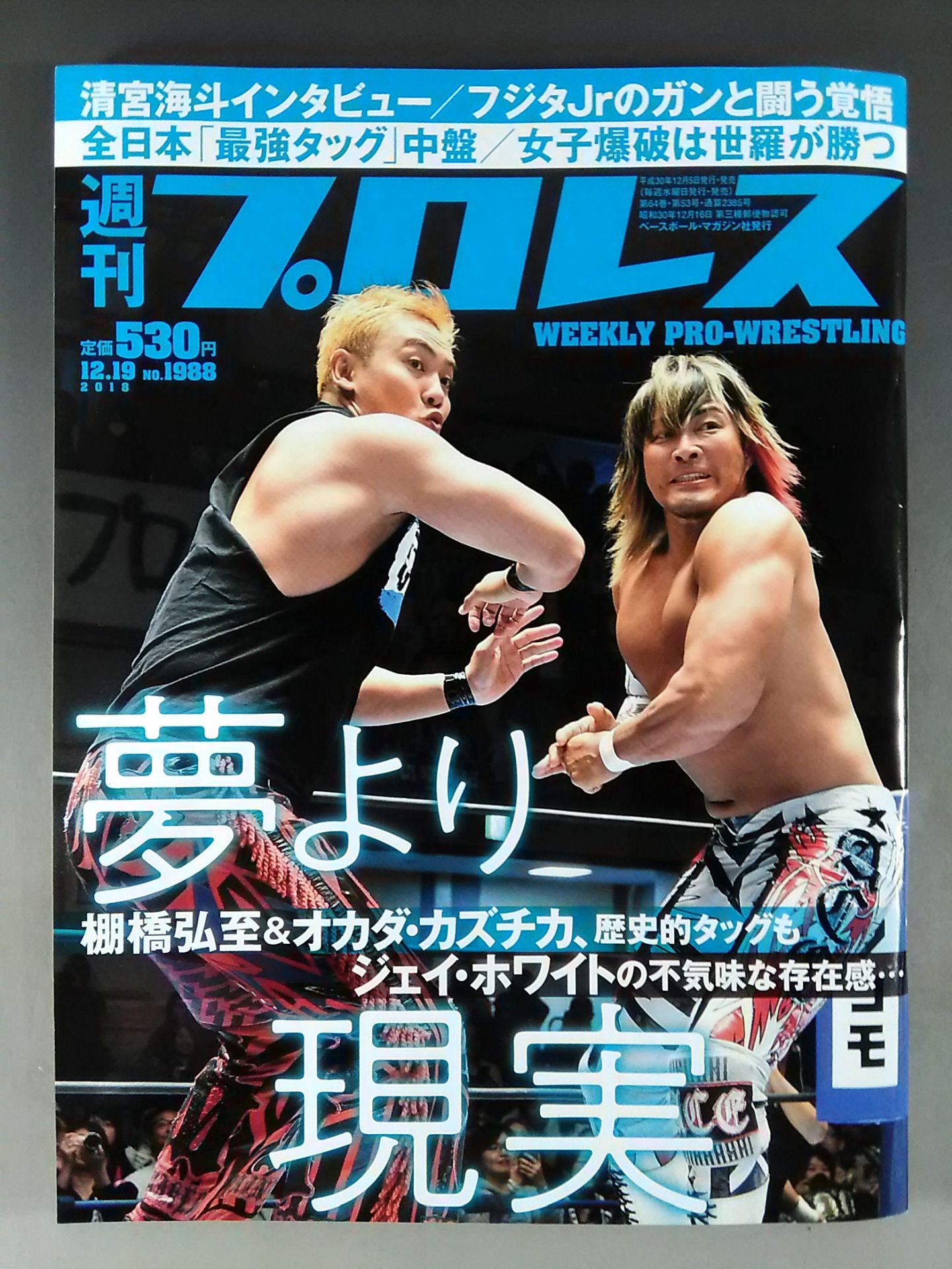 Weekly Pro Wrestling 1988