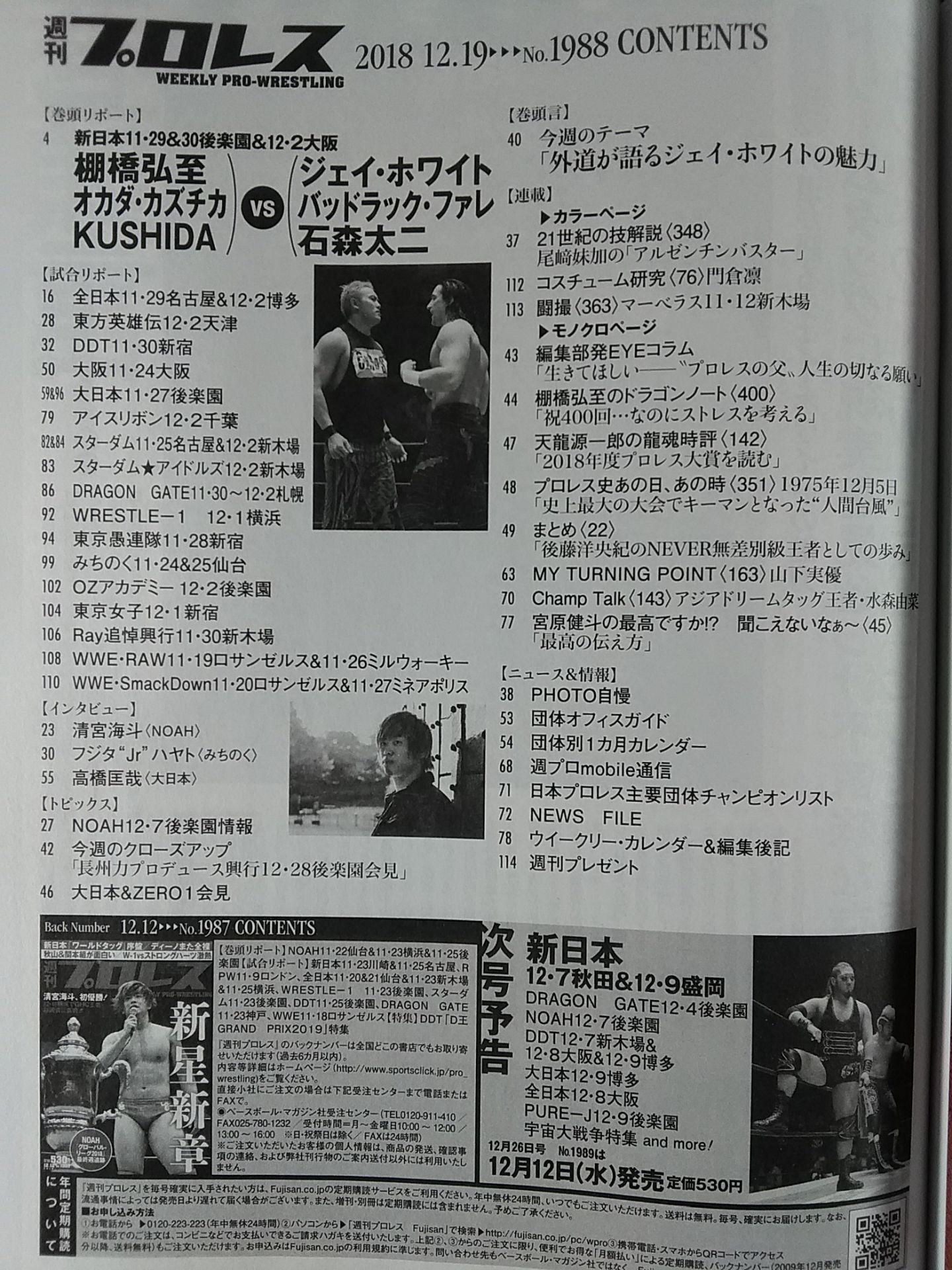 Weekly Pro Wrestling 1988