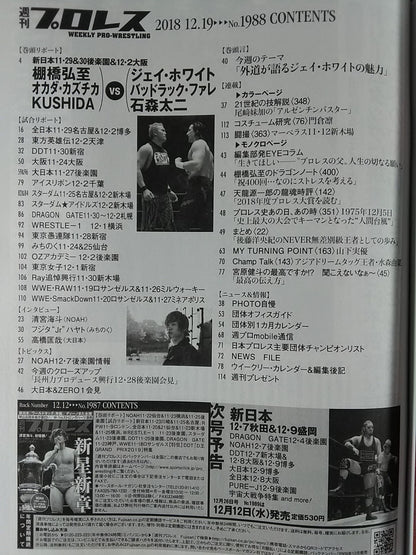 Weekly Pro Wrestling 1988