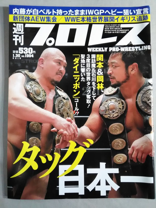 Weekly Pro Wrestling  1994
