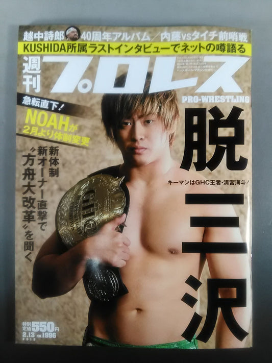 Weekly Pro Wrestling 1996