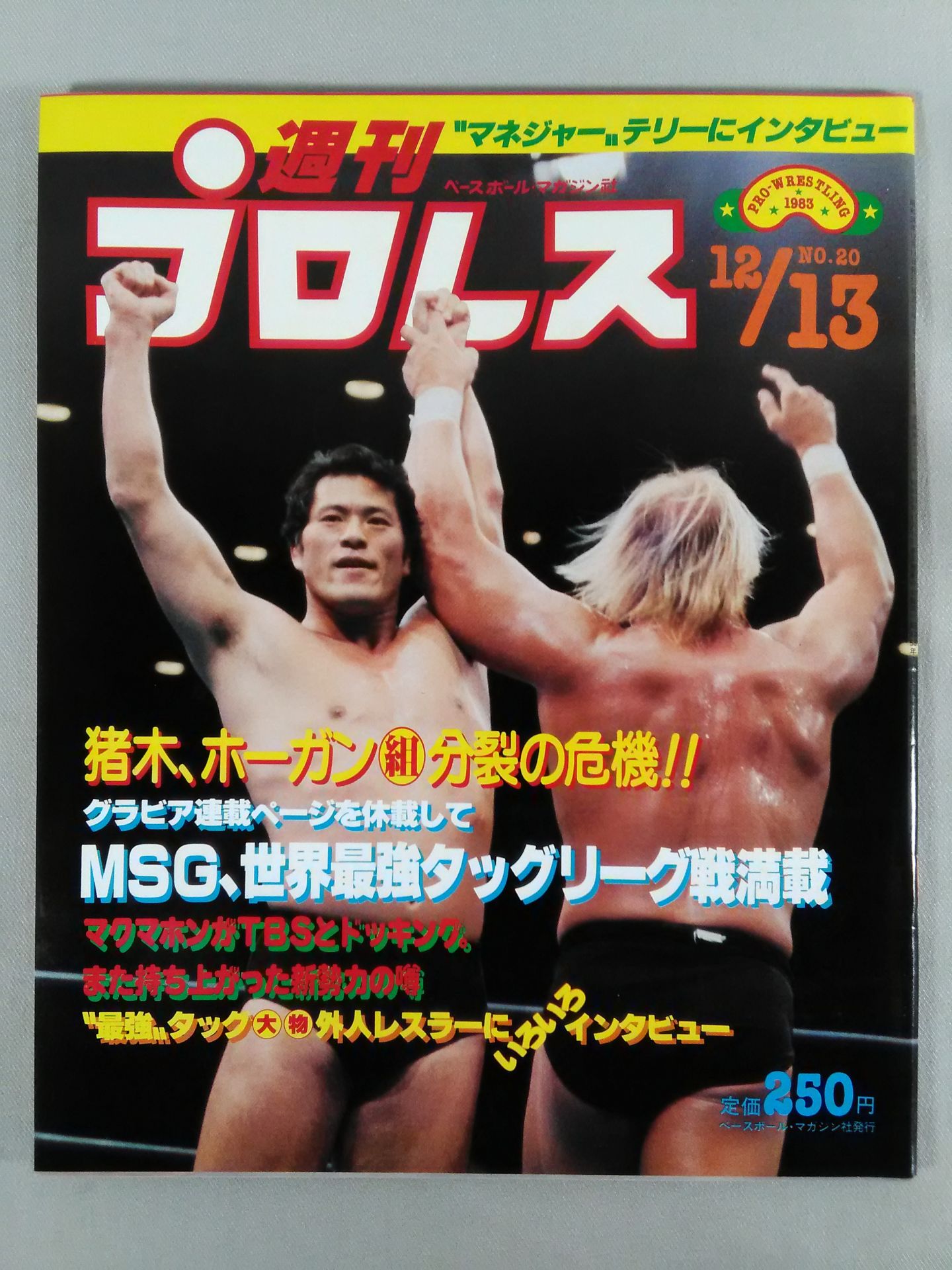 Weekly Pro Wrestling 20