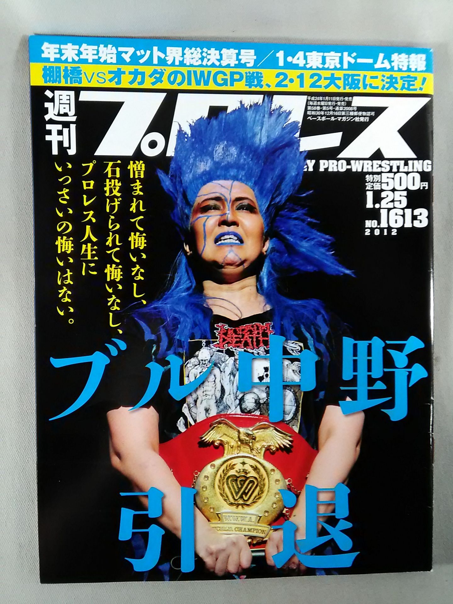 Weekly Pro Wrestling 1613